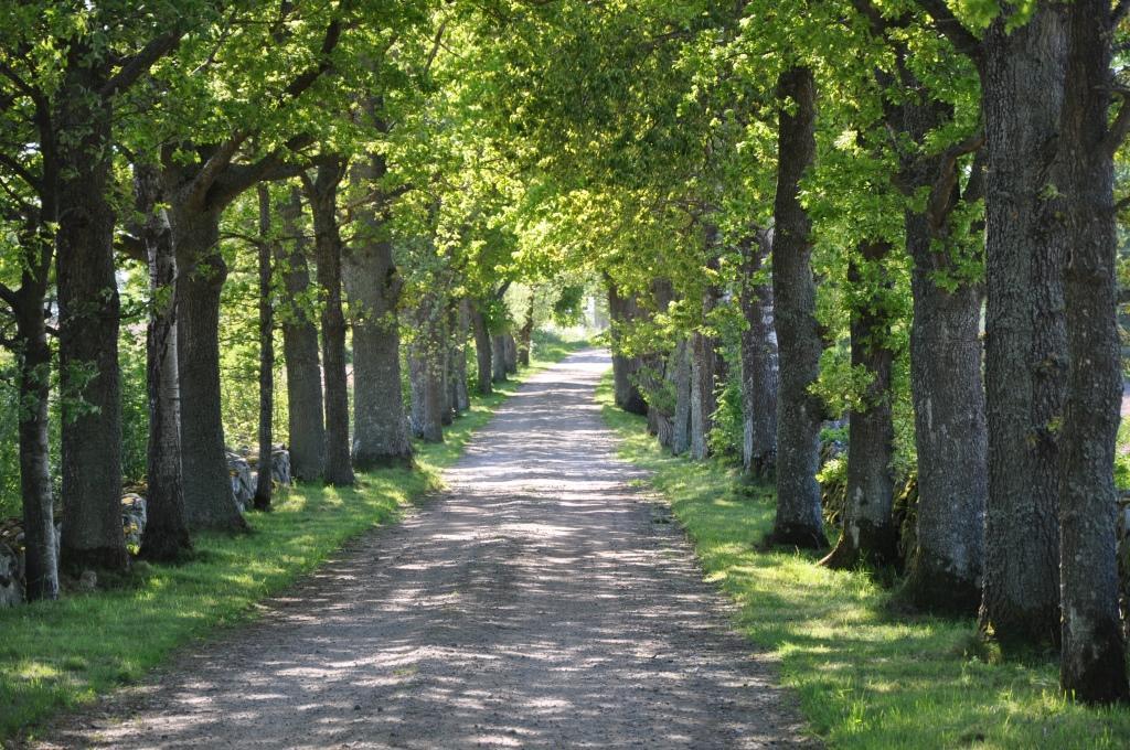 Apartmán Stalemara Gard Prutgasen Fågelmara Exteriér fotografie